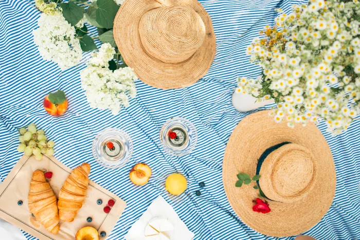 Choosing a Simple Setup for Picnic Planning